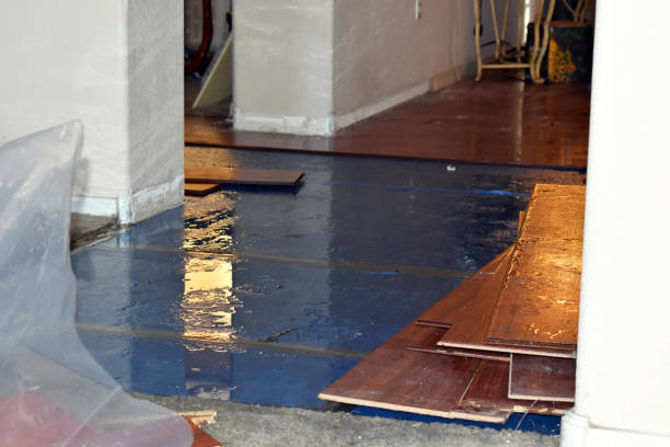 Professional Basement Water Removal technician working in Harrisville, MS